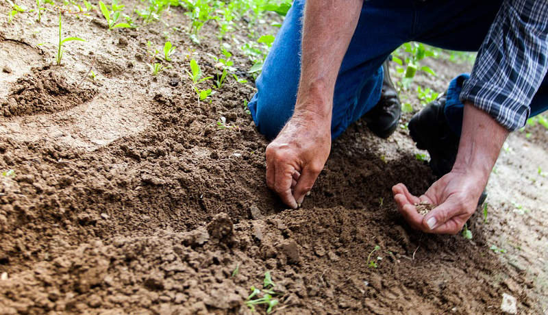 Healed on 9 April, 2005